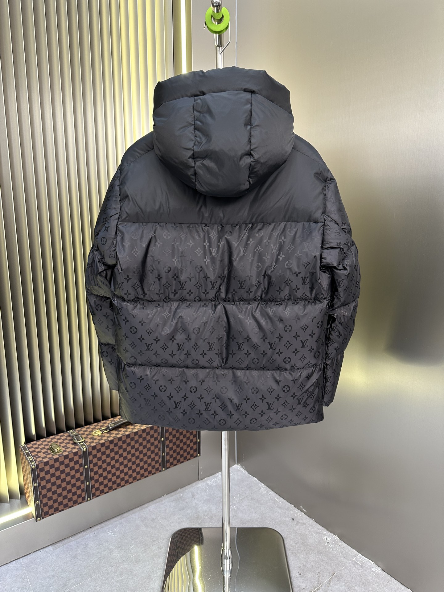 Louis Vuitton Down Jackets